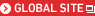 GLOBAL SITE